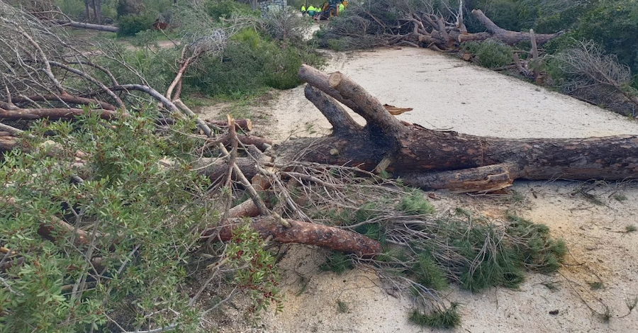 Destrozos en Conil tras el paso de un tornado.