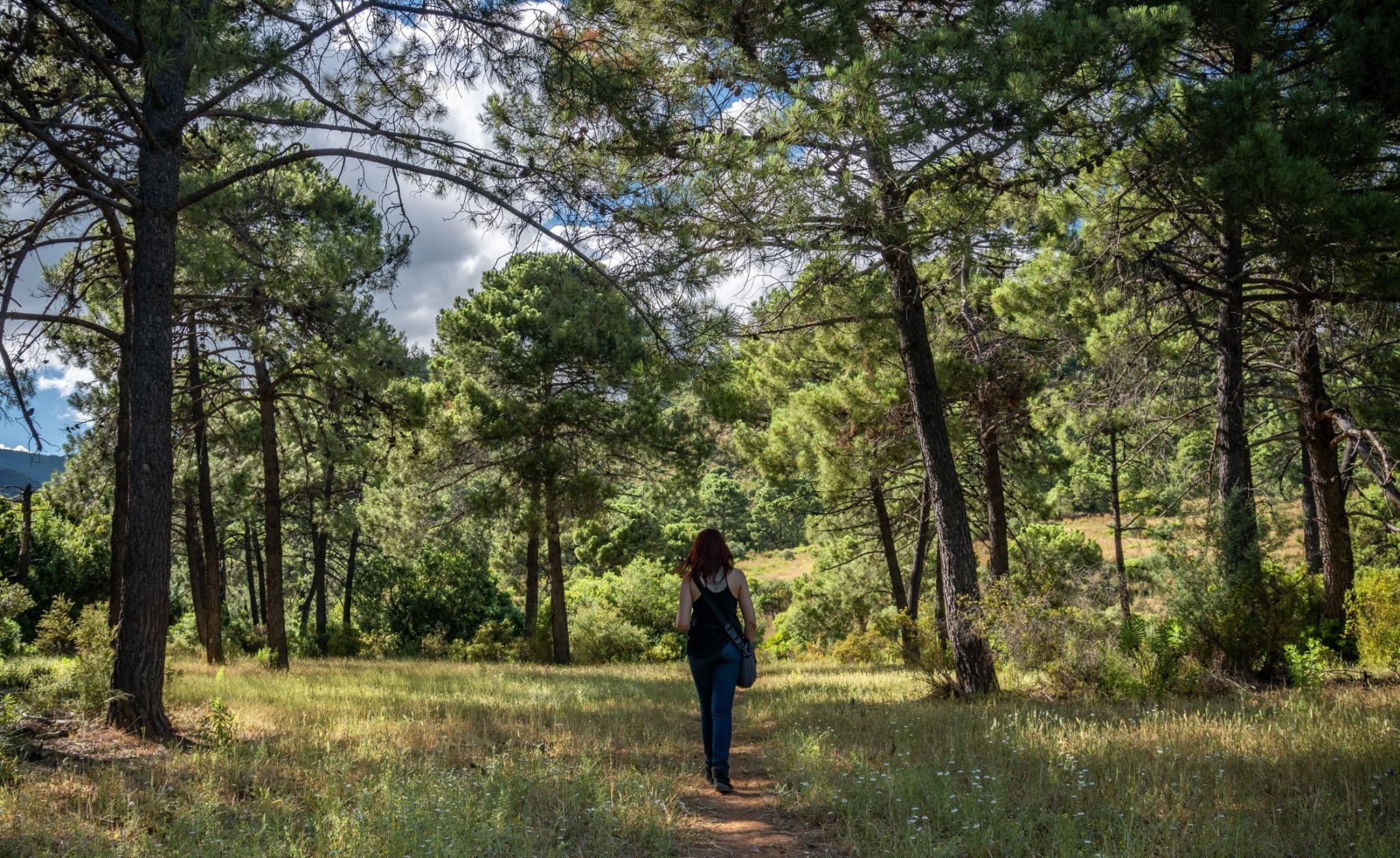 Una ruta increíble: el Sendero de las Libélulas en Málaga permite observar 28 especies de este animal.